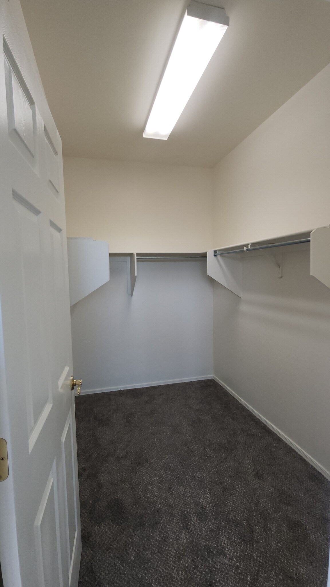 Master Closet - 4815 E Silverpuffs Way