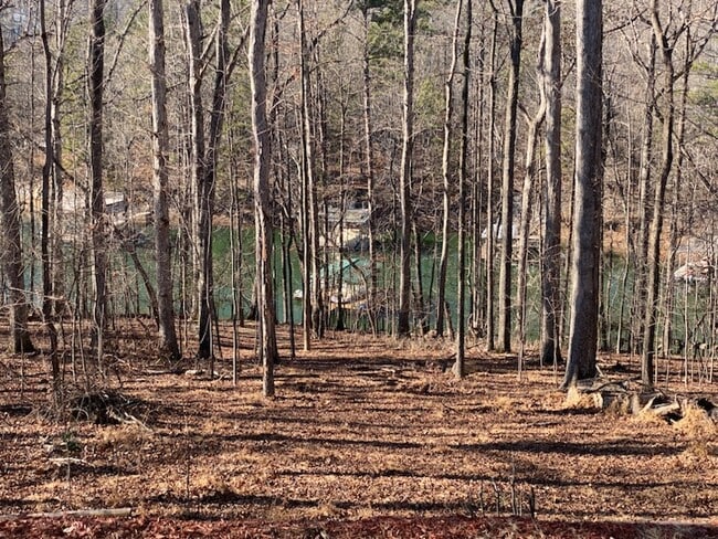 Building Photo - 8780 Bay Dr