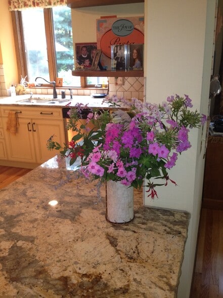 Shared Kitchen (has eat-in at Counter) - 19 Timber Ln