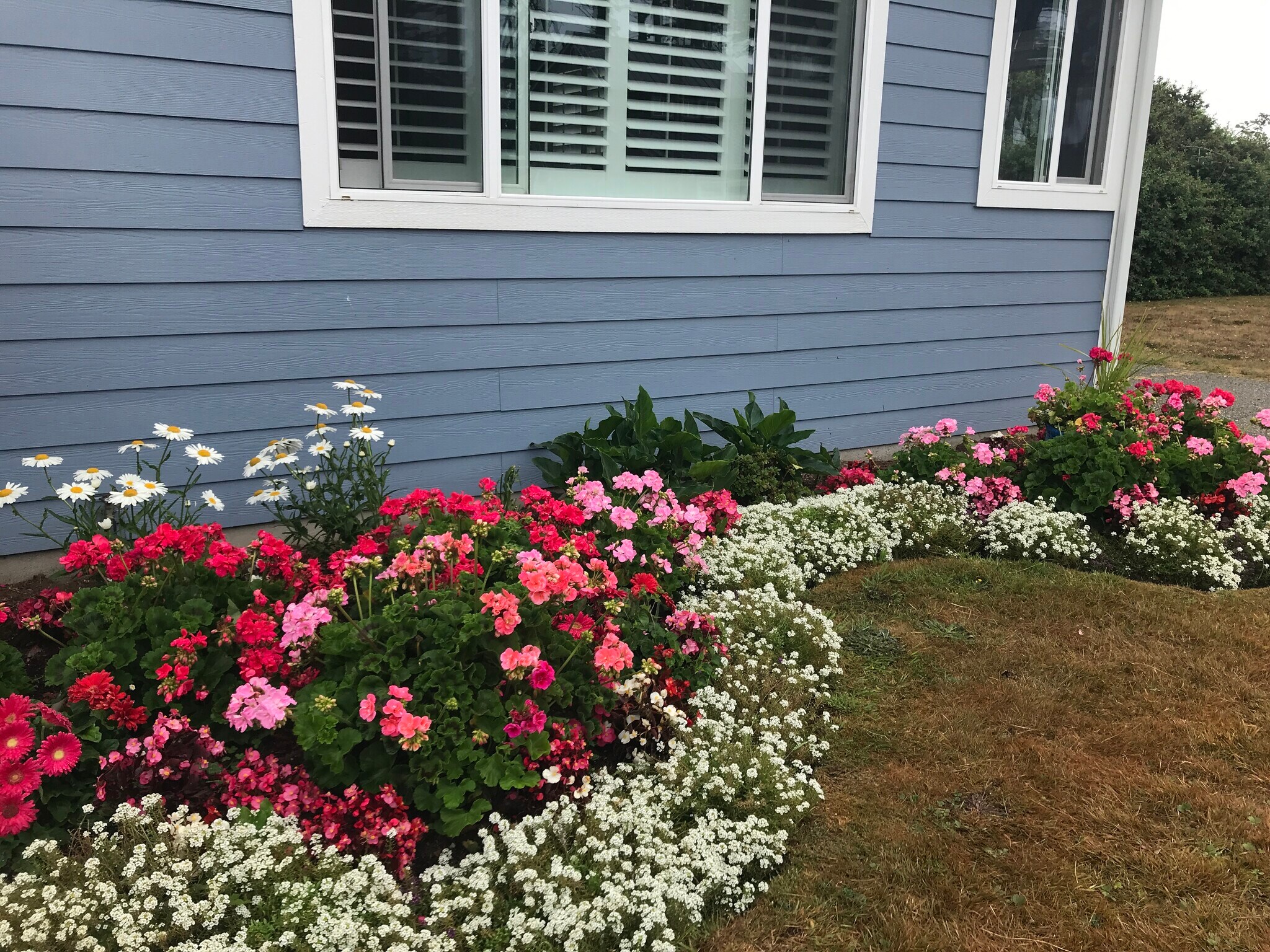 Building Photo - 515 Garfield Ave SW