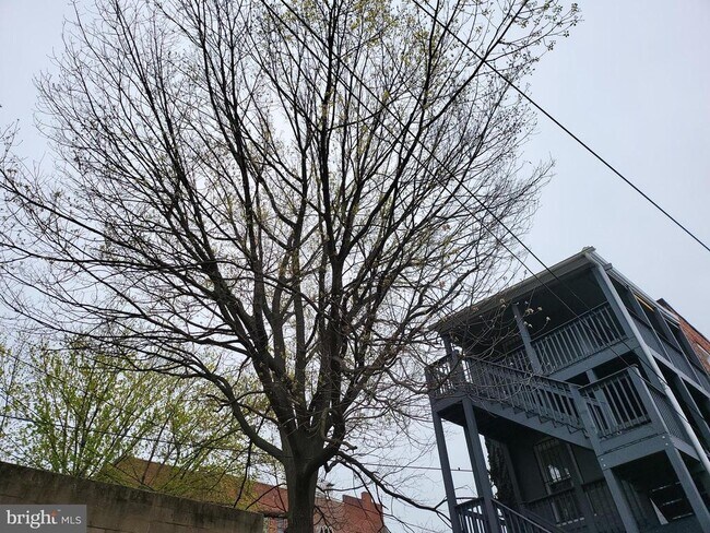 Building Photo - 2012 Mt Royal Terrace