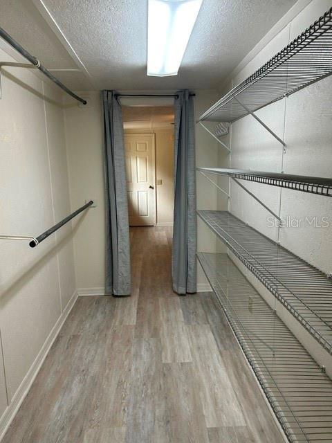 Building Photo - 1481 Nocatee St