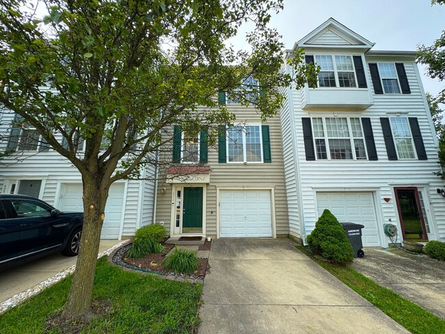Primary Photo - Gorgeous 3 Bed 2.5 Bath Interior Townhome ...