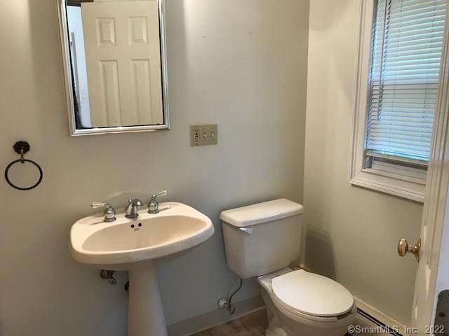 Building Photo - 539 Maple Ave