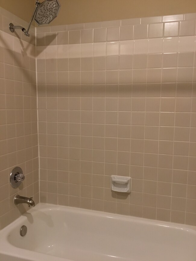 2nd bath shower/tub - 1103 Dulles Ave