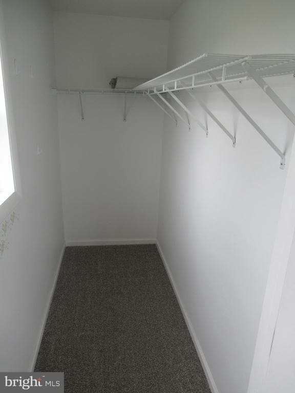 Building Photo - 436 Coates St