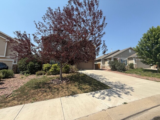 Building Photo - 3713 Reindeer Cir