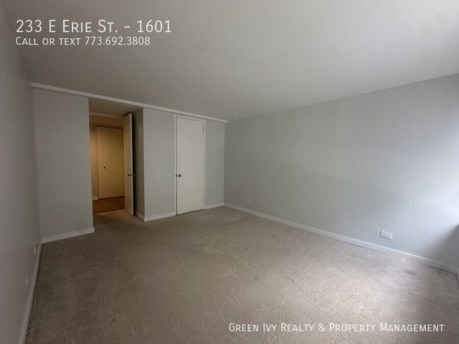 Building Photo - 233 E Erie St