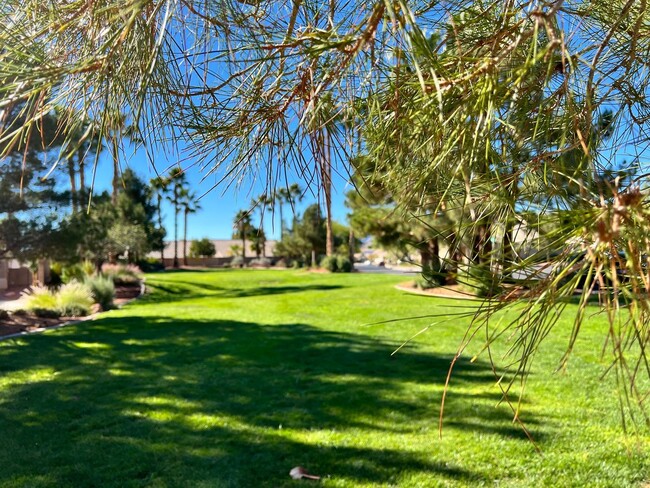 Building Photo - 1 Story in Summerlin - Brand New Carpet, P...