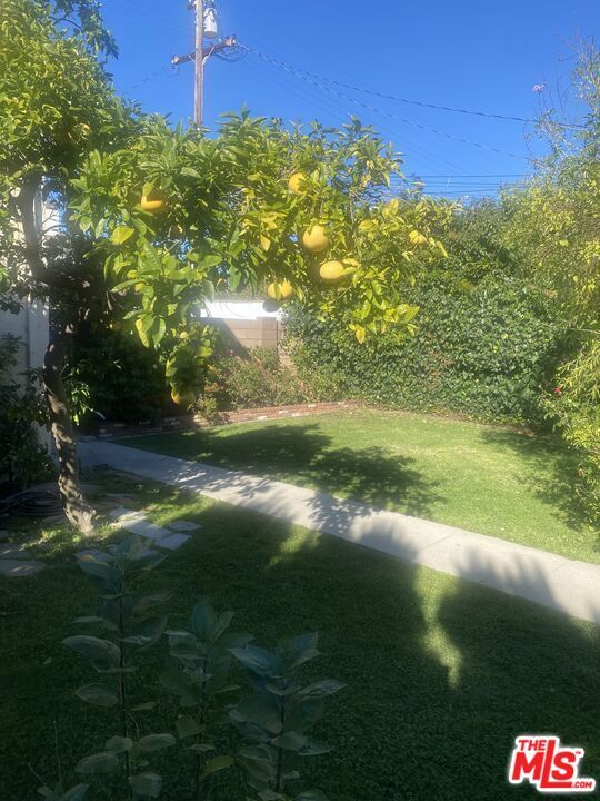 Building Photo - 125 N Palm Dr