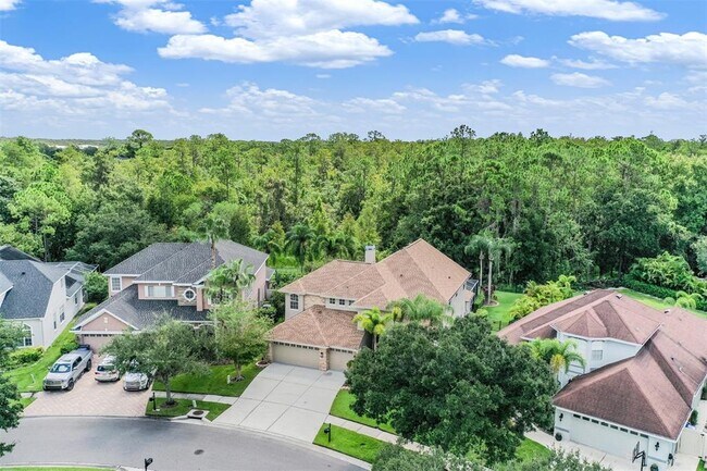 Building Photo - 11670 Renaissance View Ct