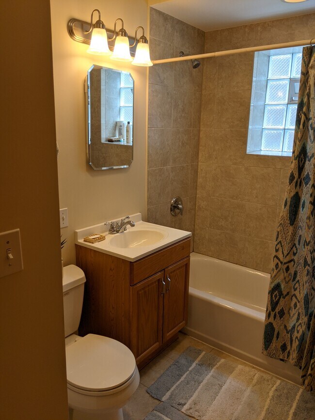 Bathroom - 4431 N Springfield Ave