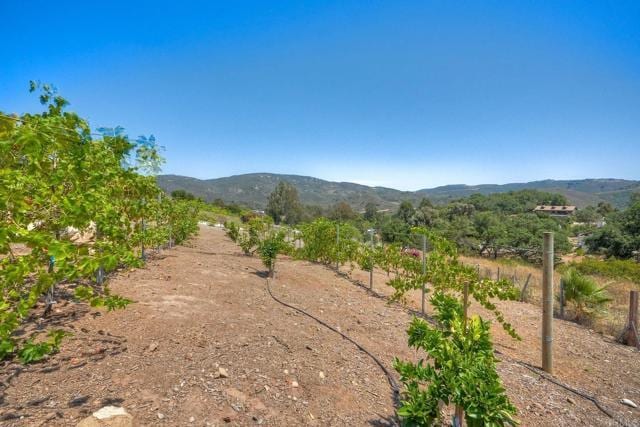 Building Photo - 7702 Camino Sereno