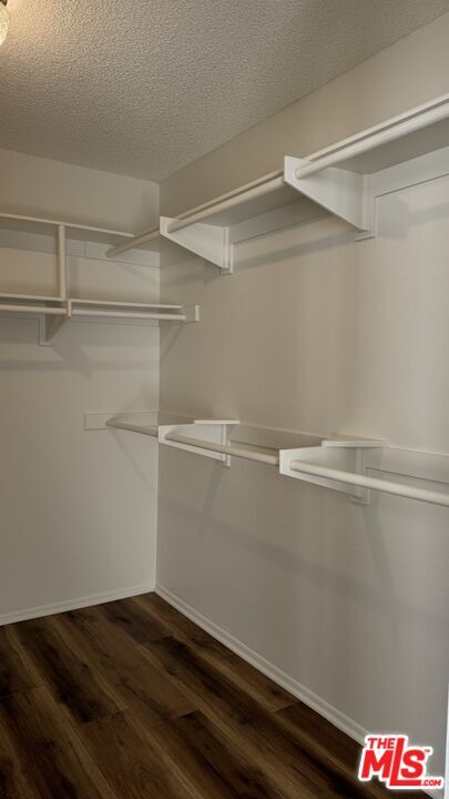 Building Photo - 4260 Vía Arbolada