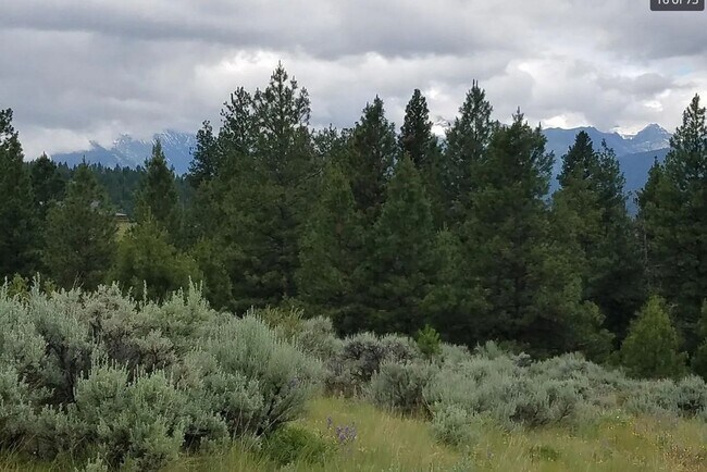 Building Photo - Cozy 1-Bed Cabin on 30 Private Acres – Incredible Views & Outdoor Access