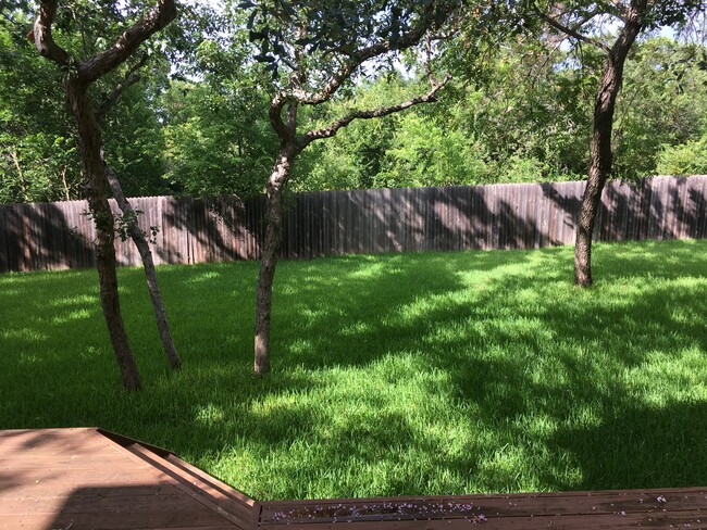 Large, flat backyard! - 12804 Schleicher Trl