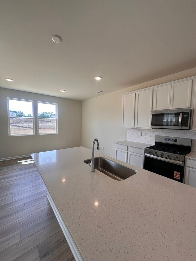 Building Photo - New Construction 4BR/3BA Home for Rent!