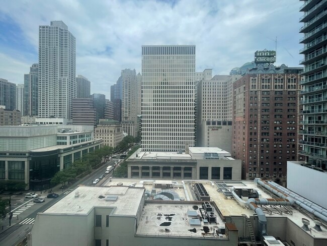 Building Photo - 535 N Michigan Ave
