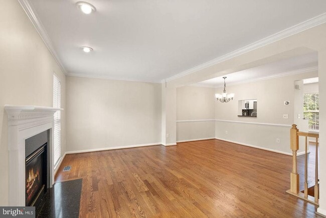 Building Photo - 917 Rolfe Pl
