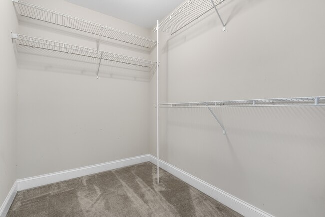 Building Photo - 403 Pisgah Flats Ct