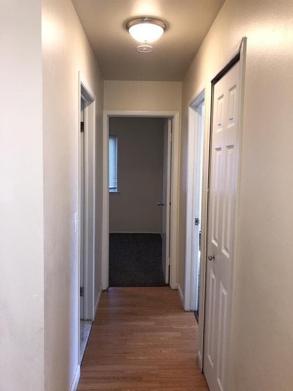 Building Photo - 35301 Michelle Dr