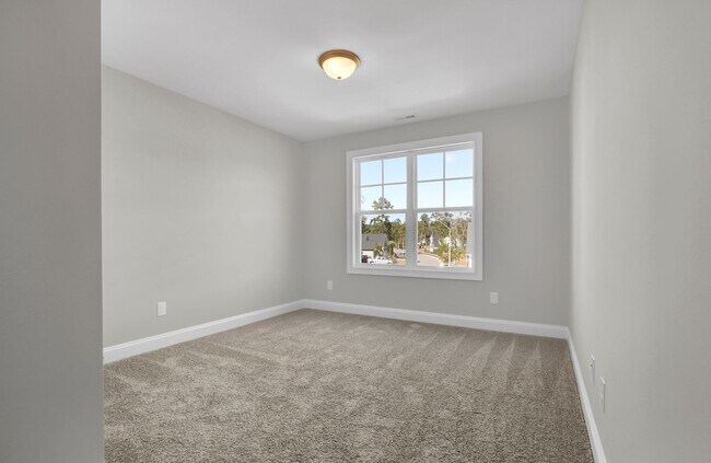 Building Photo - 4 bedroom, 3.5 bath Hampstead home in Sanc...
