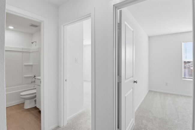 Building Photo - 26914 Dalmatian Bellflower Dr