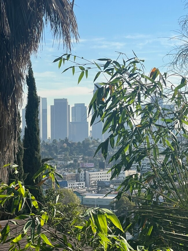 DTLA view - 2330 Effie St