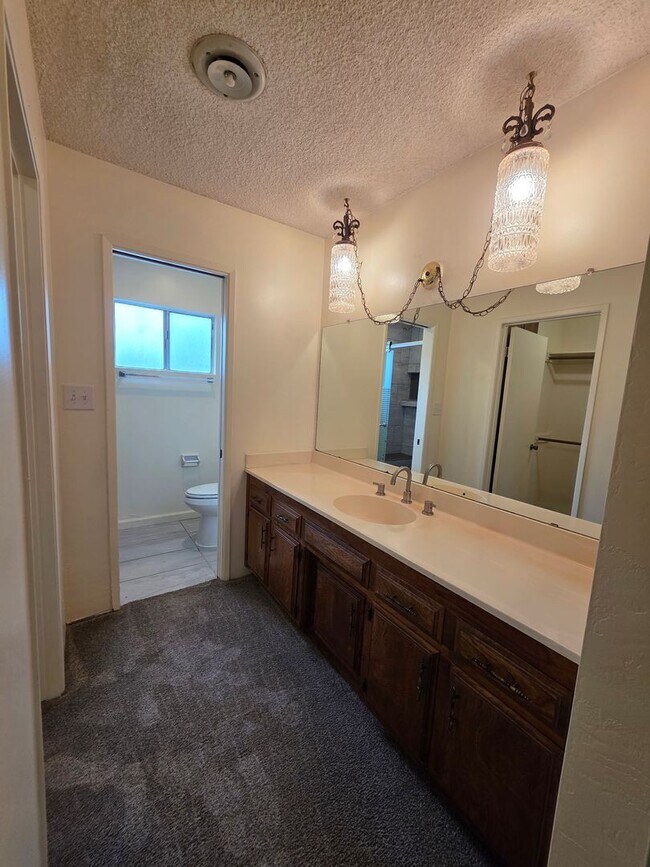 Building Photo - 3824 Christmas Tree Ln