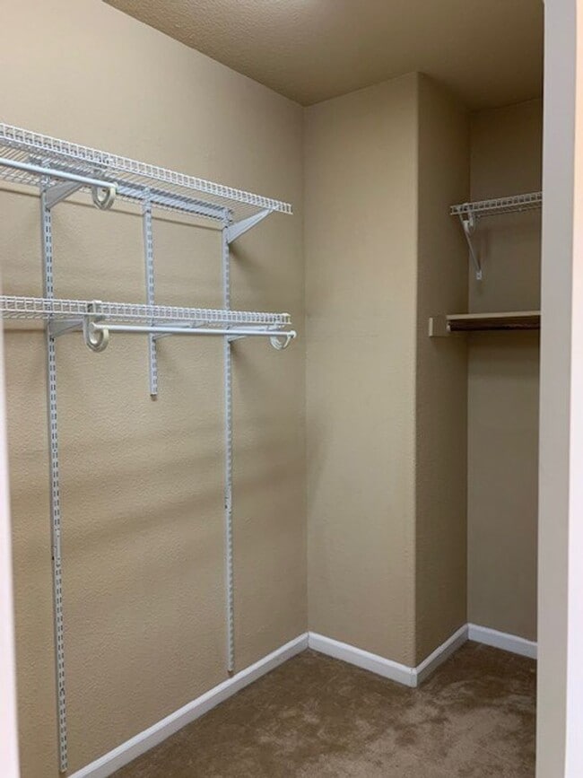 Building Photo - Big, Beautiful, Two Story Home in North Natomas