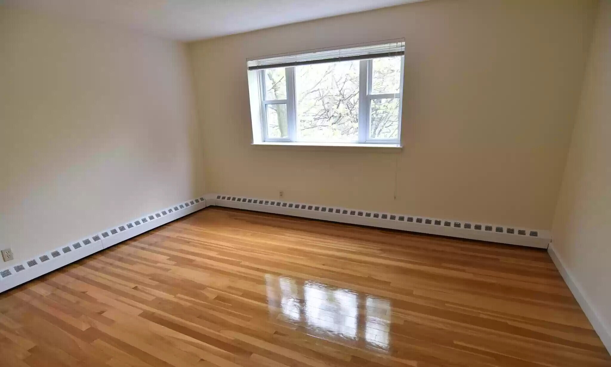 Building Photo - 73 Parkman St