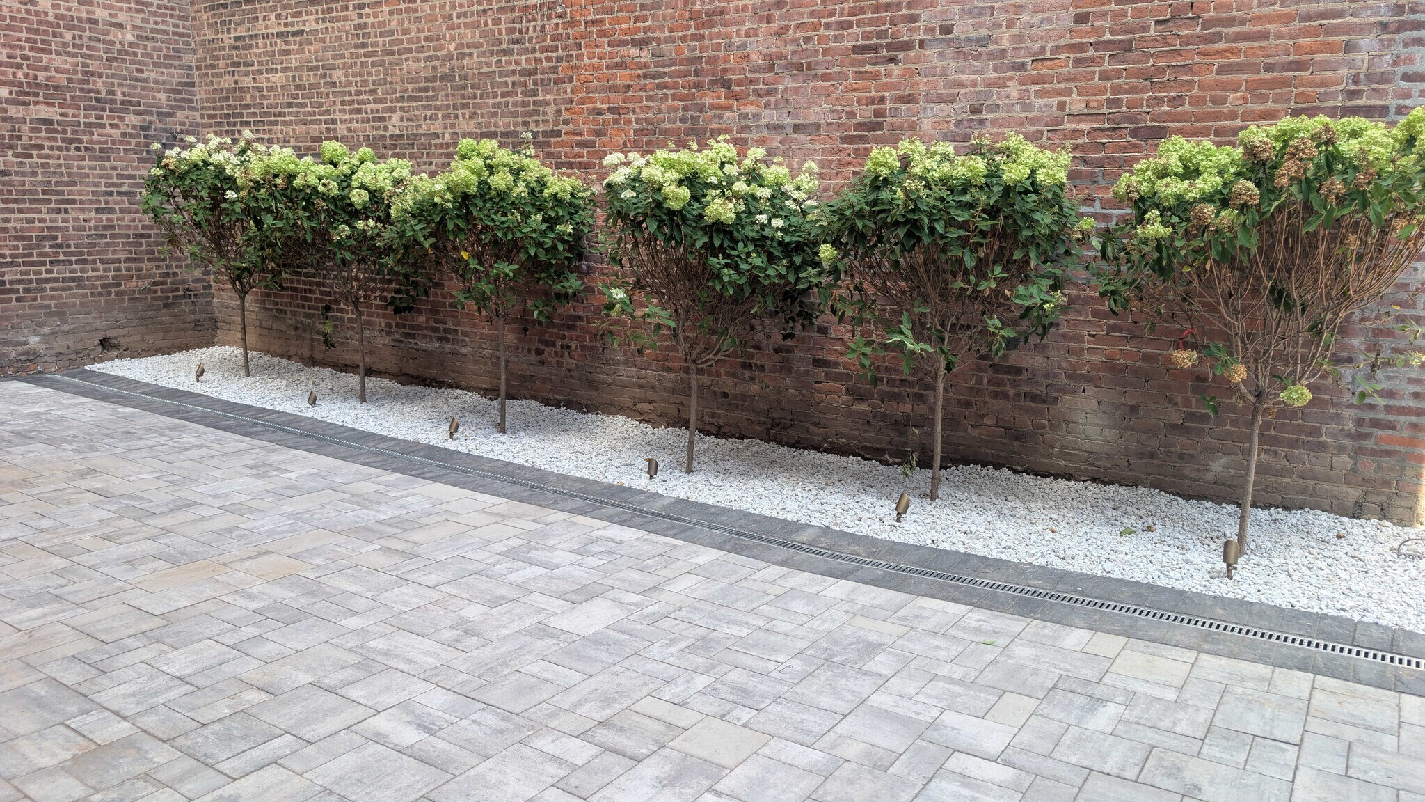 Building Photo - 501 Central Ave