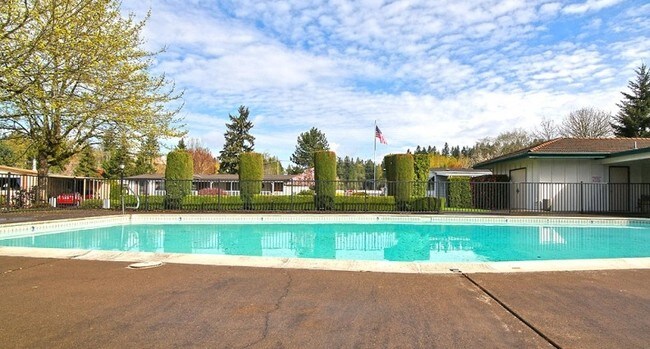 Pool - Shadowbrook