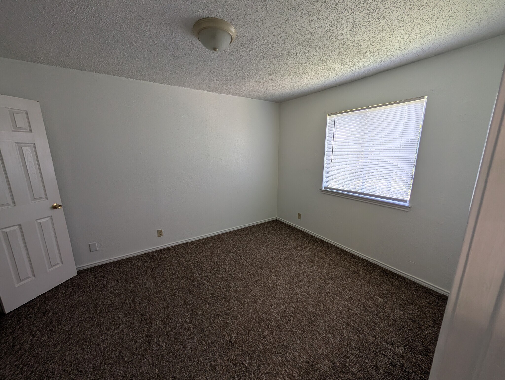 Building Photo - 1019 Burkett St