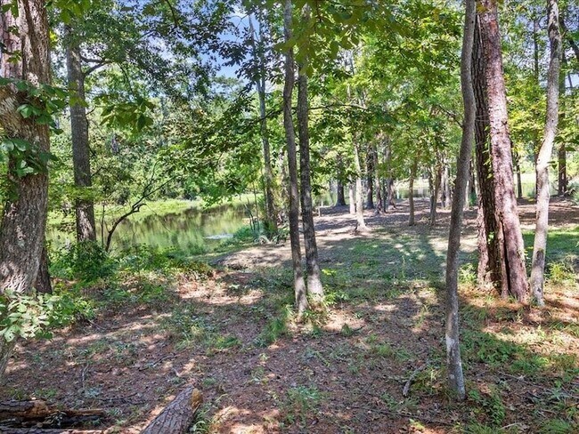 Building Photo - 8063 Winners Cir