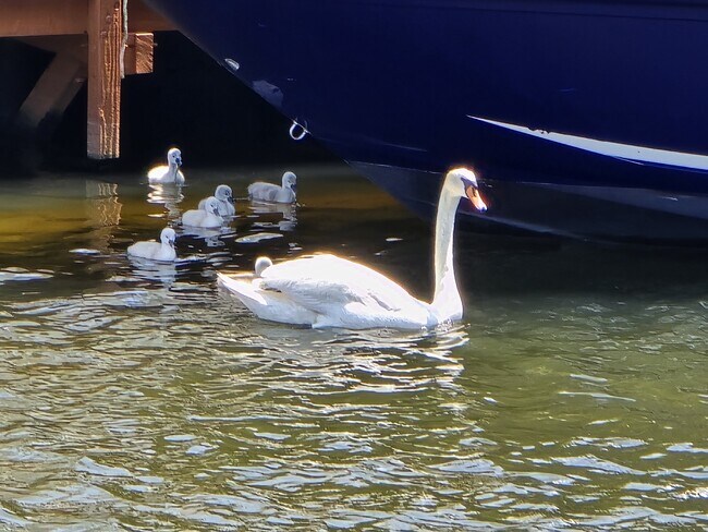 Building Photo - 26 Compass Rd