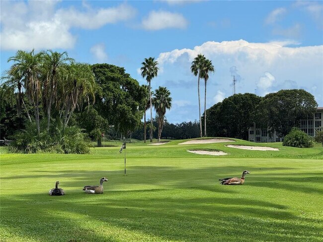 Building Photo - 3404 Bimini Ln