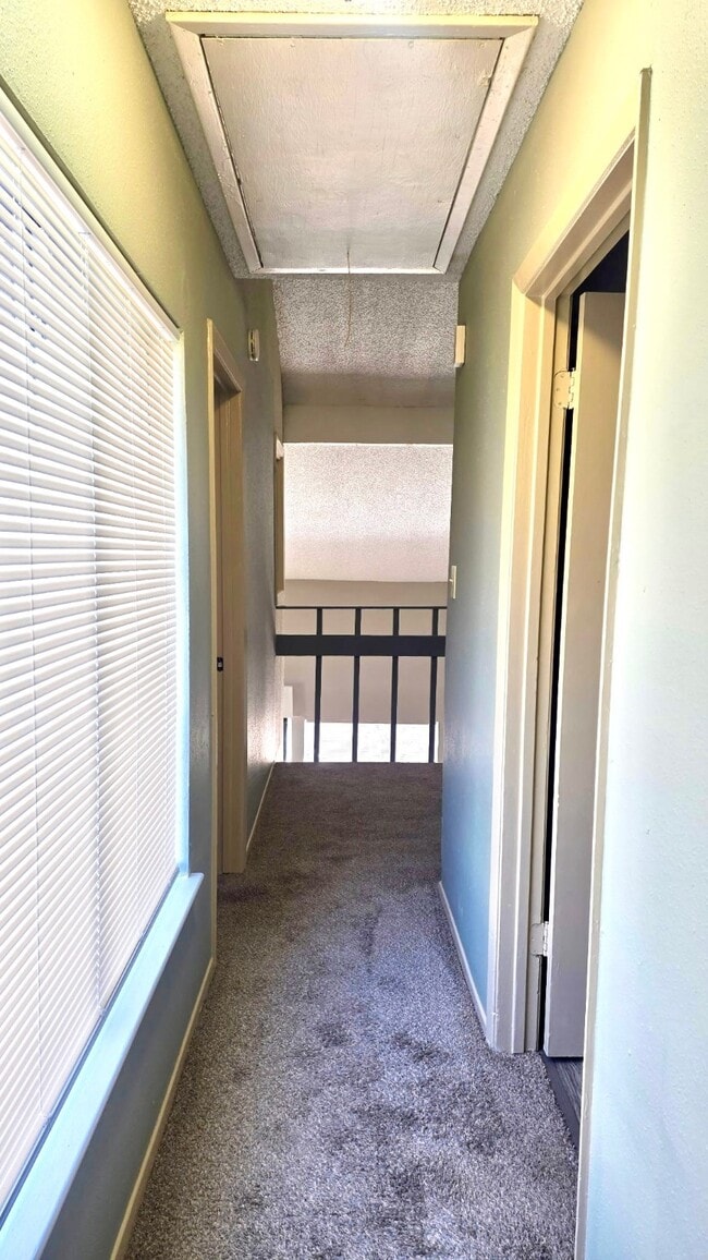 Building Photo - 12634 Newbrook Dr