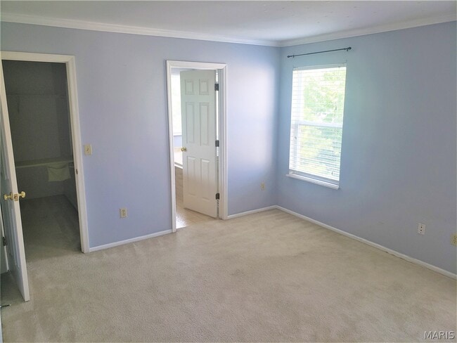 Building Photo - 16707 Hickory Meadows Ct