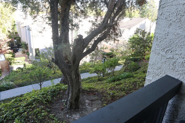 Building Photo - 3605 W Hidden Ln