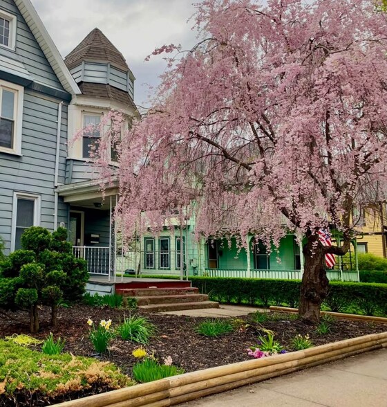 Primary Photo - 307 N Main St