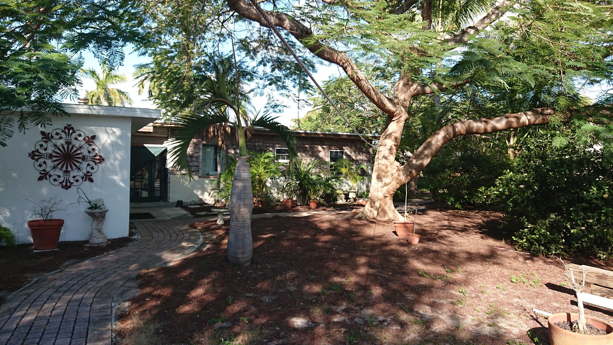 Building Photo - 1228 Trail Terrace Dr