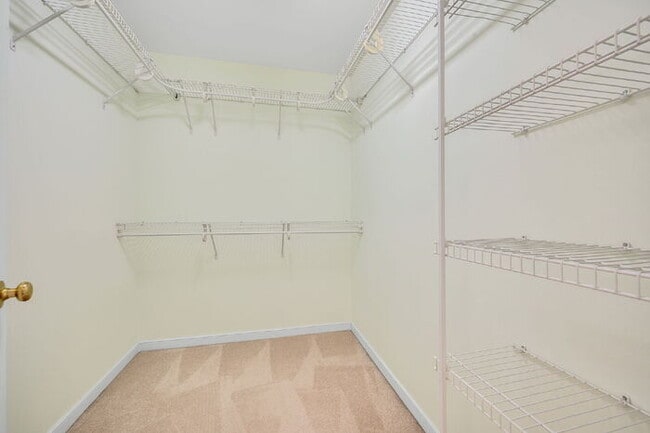 Building Photo - Spacious 5 Bedroom Home in Moseley – $3,800/mo