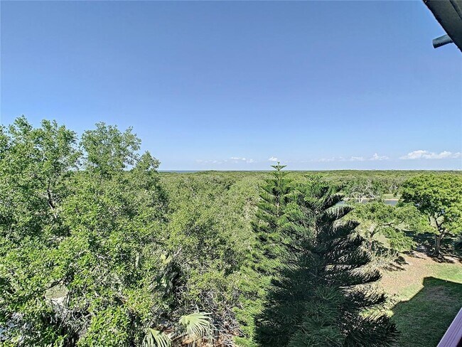 Building Photo - 2333 Feather Sound Dr