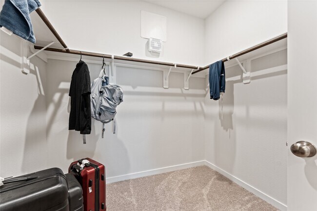 Building Photo - 16215 Globetrotter Ct