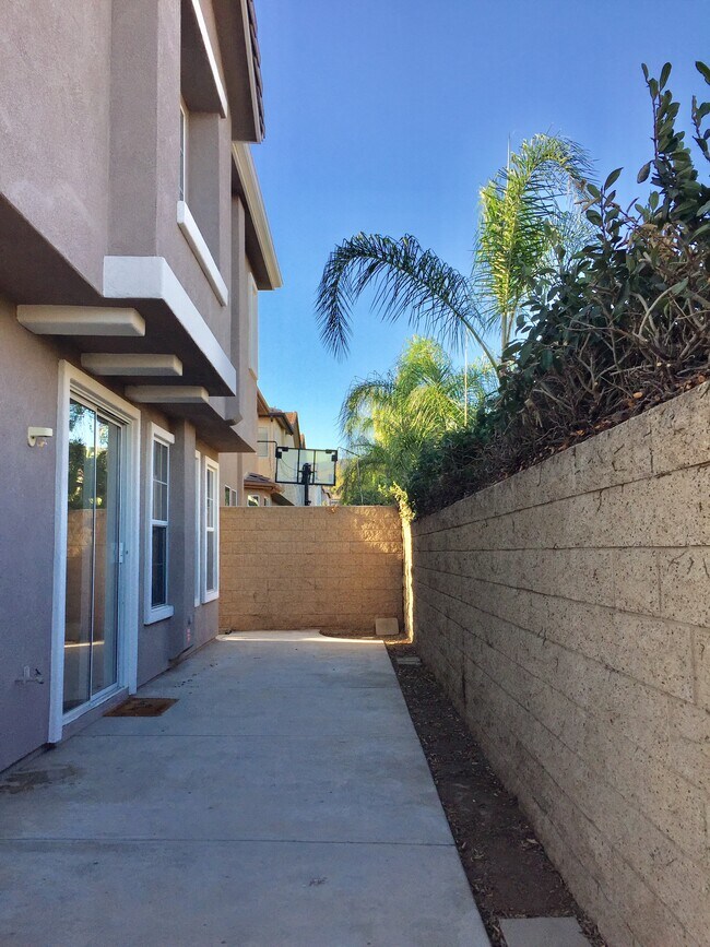 backyard - 504 Robins Pl