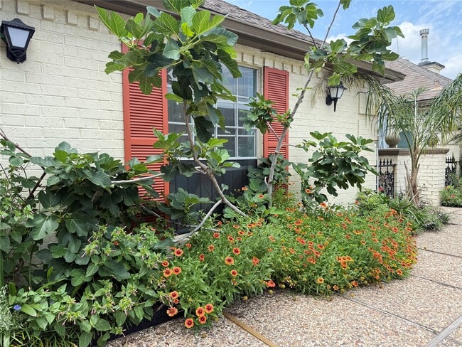Building Photo - 11550 Chimney Rock Rd
