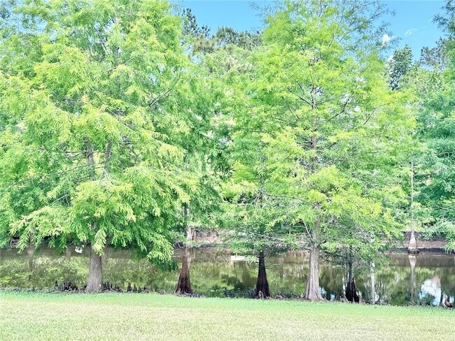 Building Photo - 204 Canterbury Bell Dr
