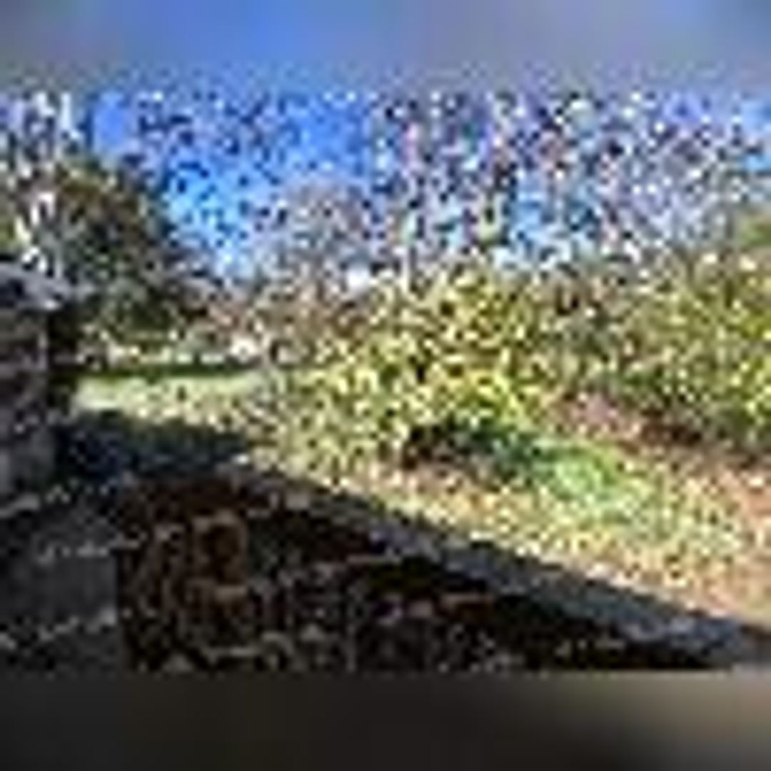 Building Photo - 1231 Helena Dr