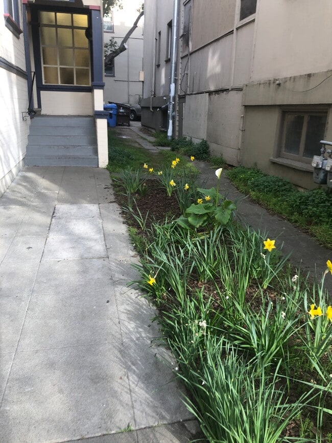 Building Photo - 2345 Fulton St